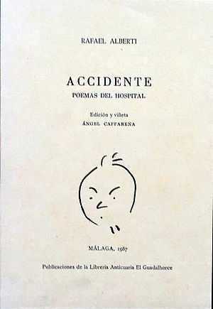 Accidente. Poemas del hospital