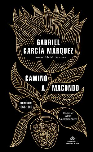 Camino a Macondo