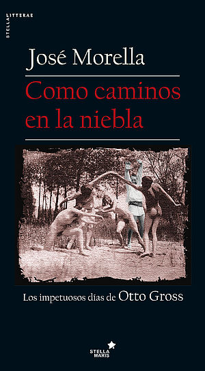 Como caminos en la niebla. Los impetuosos días de Otto Gross.