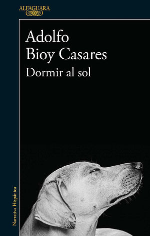Dormir al sol