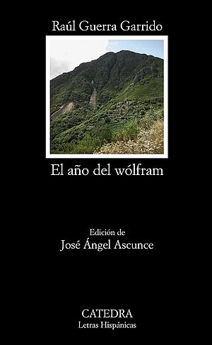 El año del Wolfram