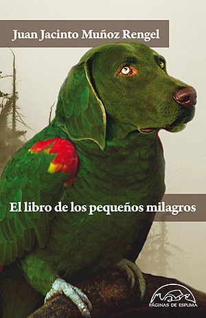 El libro de pequeños milagros