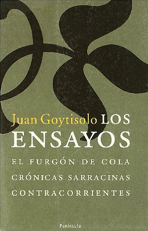 Los ensayos