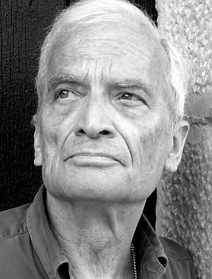 Luis Goytisolo
