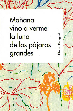 Mañana vino a verme la luna de los pájaros grandes