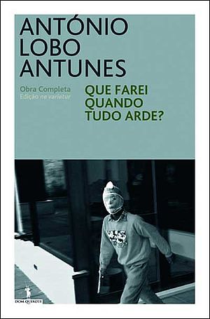Que farei quando tudo arde?
