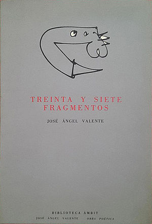 Treinta y siete fragmentos