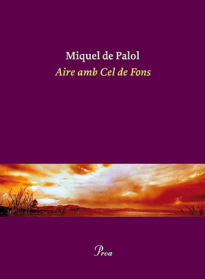 Aire amb cel de fons