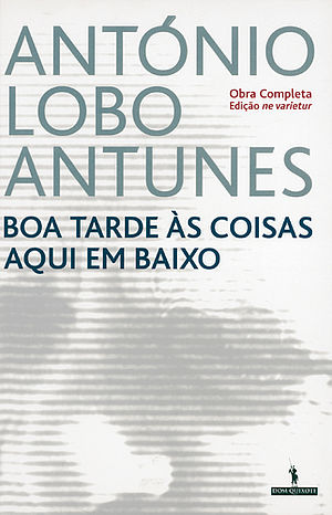 Boa tarde às coisas aquí em baixo