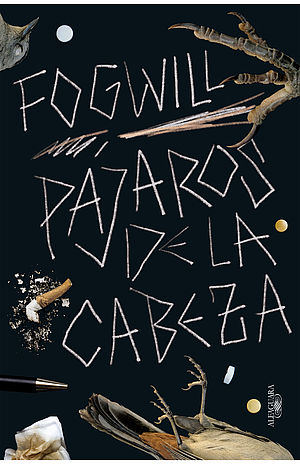 Pájaros de la cabeza