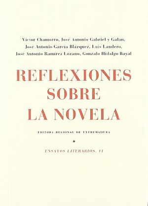 Reflexiones sobre la novela