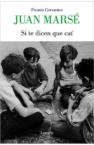 Si te dicen que caí