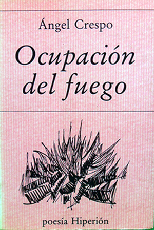 Ocupación del fuego